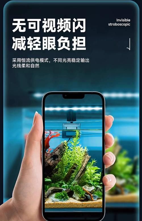有哪些品牌的魚缸LED照明推薦？，魚缸led照明品牌led照明品牌led照明品牌推薦