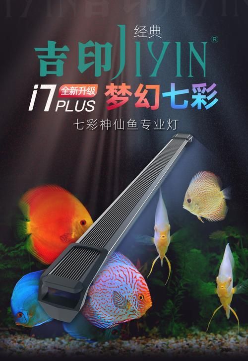 有哪些品牌的魚缸LED照明推薦？，魚缸led照明品牌led照明品牌led照明品牌推薦