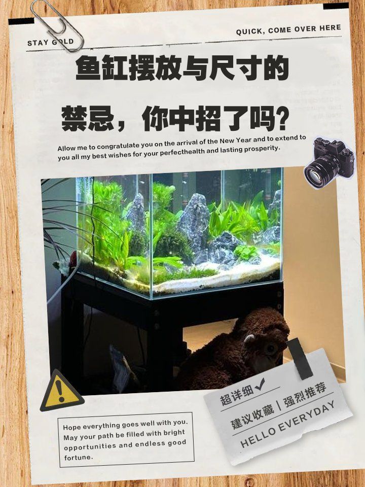 如何判斷魚缸是否適合放在客廳，家中魚缸擺放風(fēng)水指南
