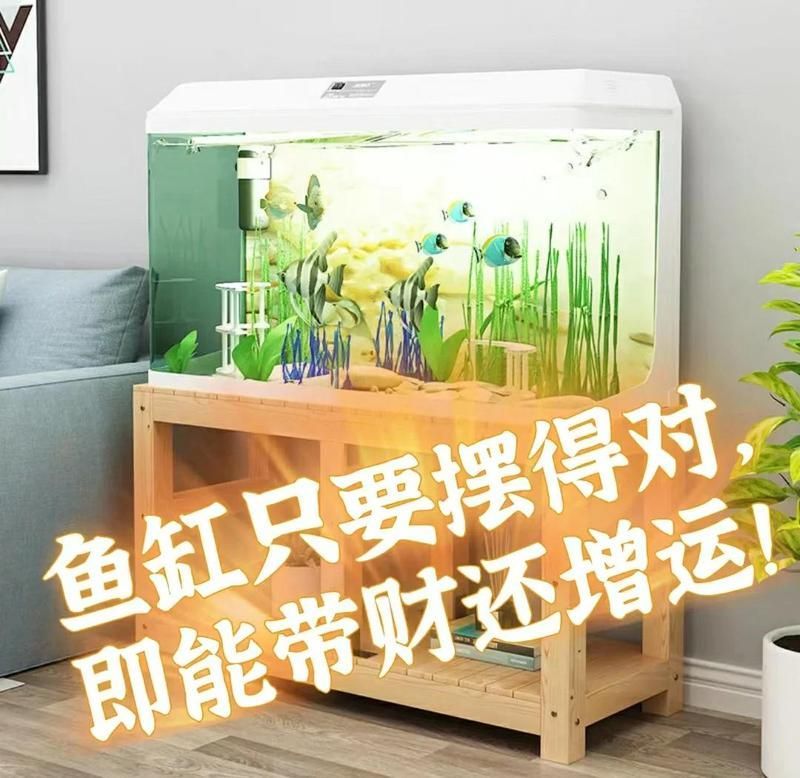 如何判斷魚缸是否適合放在客廳，家中魚缸擺放風(fēng)水指南