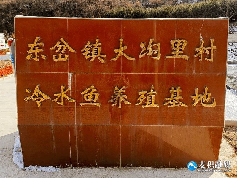 麥積龍魚的營養(yǎng)價(jià)值，甘肅天水麥積山地區(qū)養(yǎng)殖冷水魚（虹鱒/金鱒）的營養(yǎng)數(shù)據(jù)