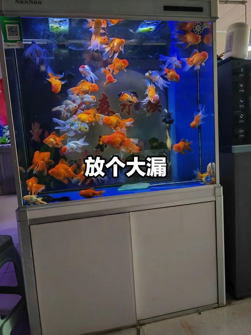 森森底濾系列有哪些型號可選，森森底濾系列哪個型號最受歡迎森森底濾系列哪個型號最受歡迎