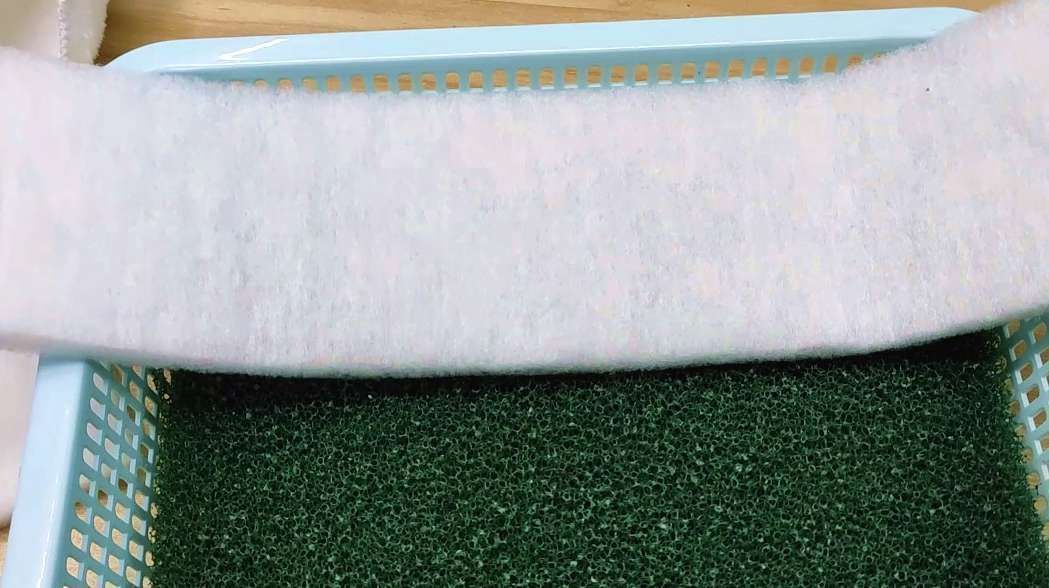 如何改善麻章龍魚的水質，如何改善麻章龍魚水質