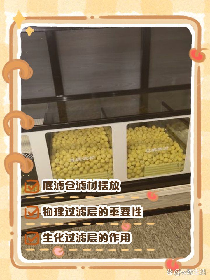 如何改善麻章龍魚的水質，如何改善麻章龍魚水質