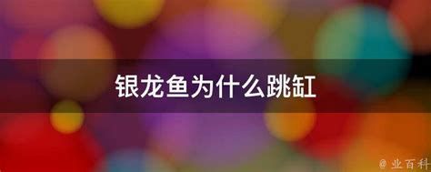 龍魚晚上關燈后多久會跳缸？，“龍魚晚上關燈后多久會跳缸”是關于龍魚跳缸的問題