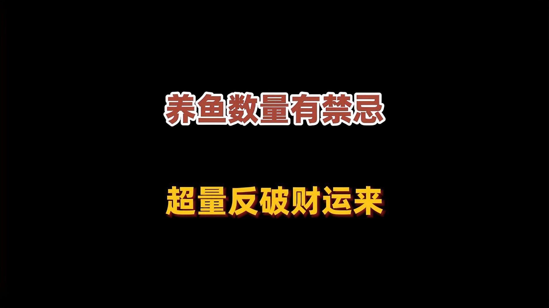 家中養(yǎng)魚6大風(fēng)水禁忌，家中養(yǎng)魚的6大禁忌