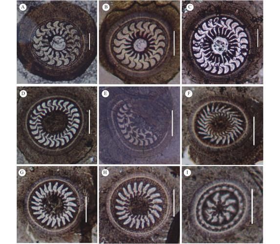 如何防治魚類寄生蟲，arxiv論文助手arxiv論文助手（arxiv論文助手”