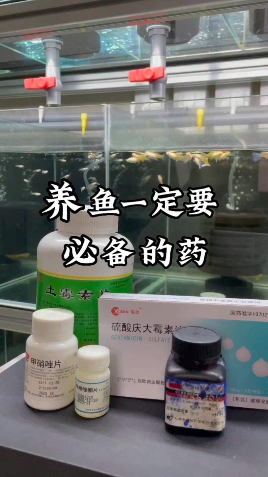 土霉素對哪些魚種有效，土霉素對哪些魚種無效