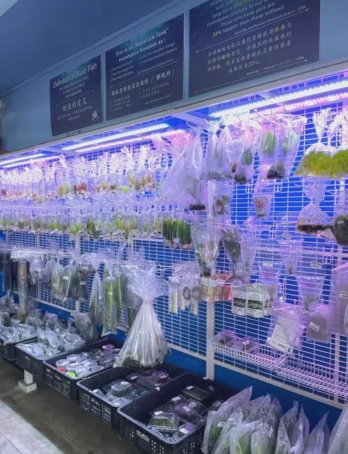 新加坡漁場有哪些知名品牌，新加坡海鮮品牌有哪些？