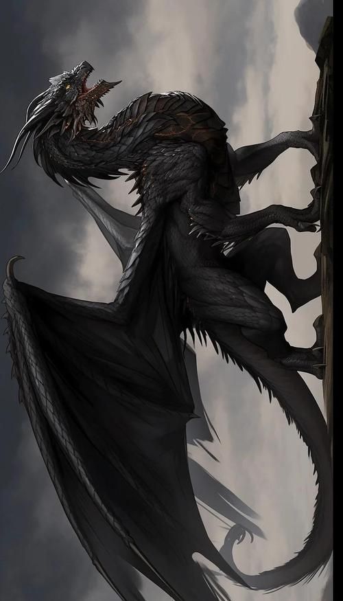 紅龍與黑龍的歷史傳說，紅龍與黑龍的區(qū)別