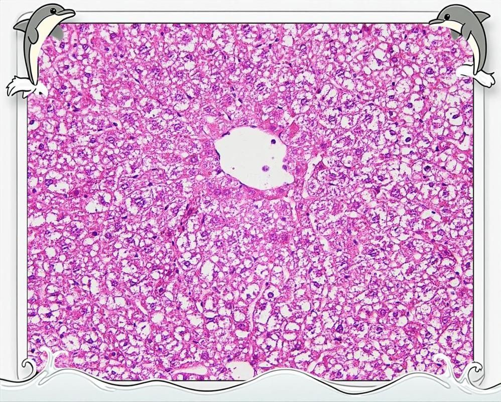 土霉素治療龍魚炸鱗的副作用有哪些？，土霉素治療龍魚炸鱗
