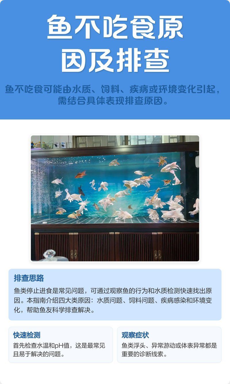 如何判斷魚是否拒食，如何判斷魚是否進入拒食狀態