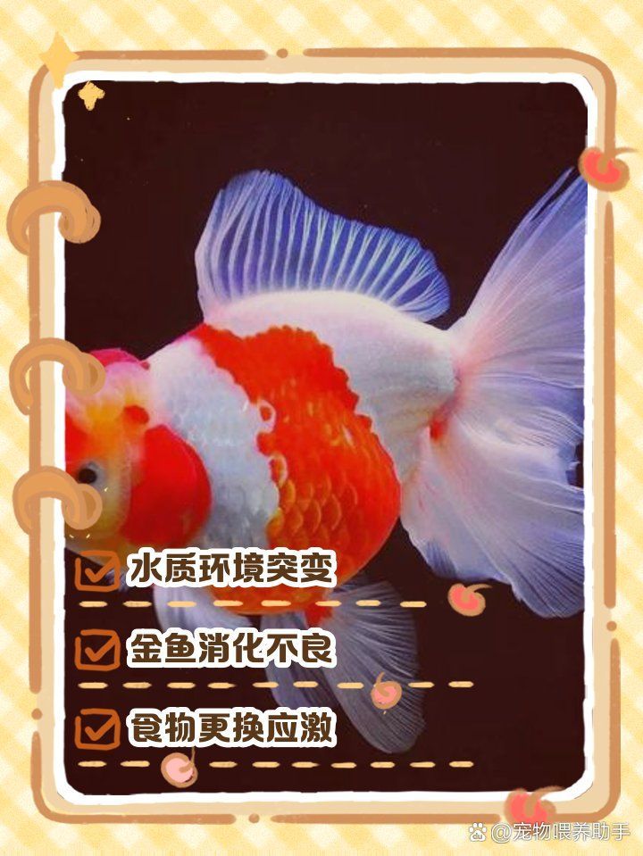 如何判斷魚是否拒食，如何判斷魚是否進入拒食狀態