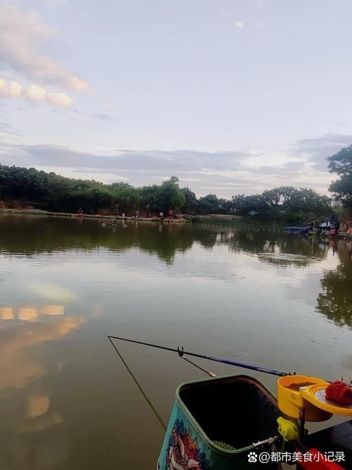 給我推薦一些廣東的釣觀魚地點，廣東釣觀魚的最佳季節