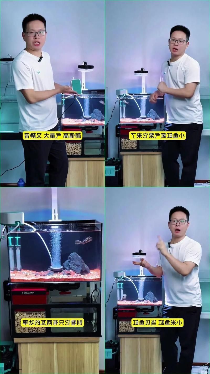 金龍魚沉底后如何救它？，金龍魚沉底后如何救助