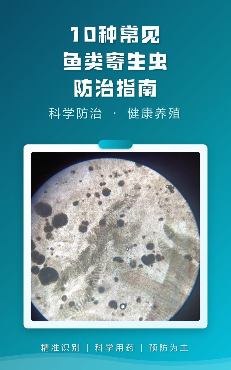 哪些魚類寄生蟲風險最高，10種常見魚類寄生蟲防治指南魚悅媽咪缸藝02:19