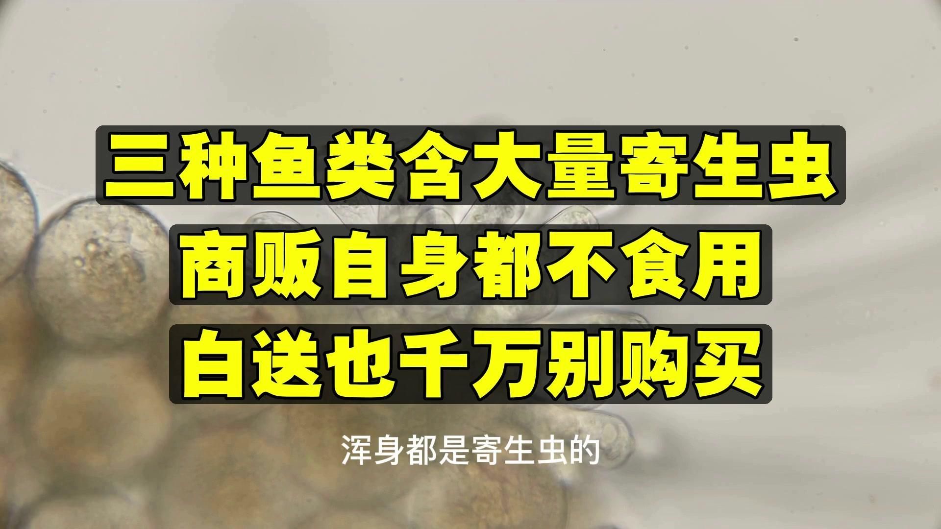哪些魚類寄生蟲風險最高，10種常見魚類寄生蟲防治指南魚悅媽咪缸藝02:19