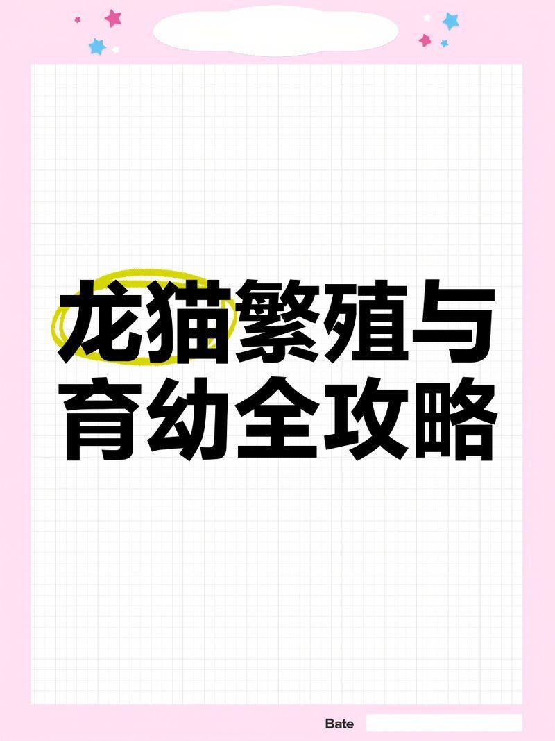 如何預防龍貓的先天性疾病，龍貓先天性疾病滯留引發敗血癥，龍貓先天性疾病滯留