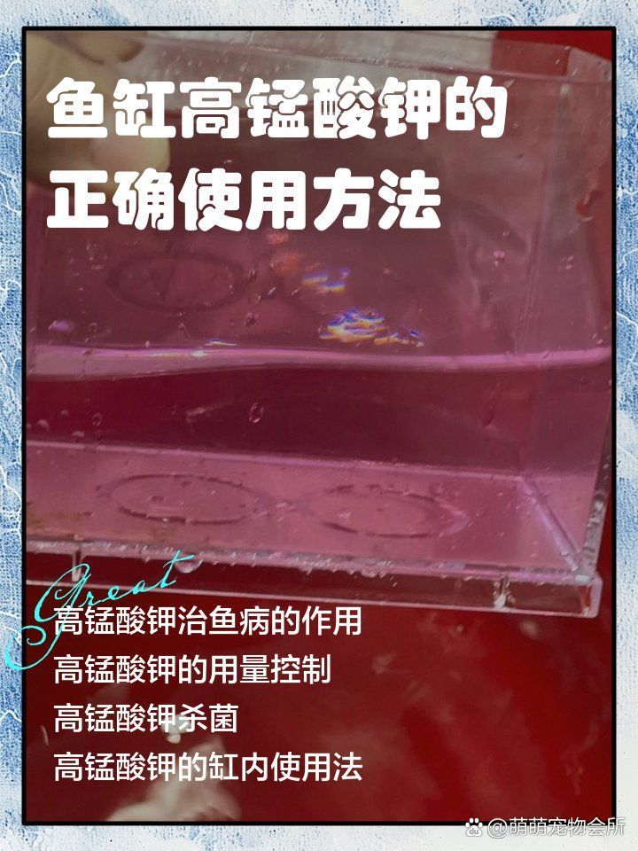 有哪些藥物可以有效治療龍魚外細菌感染，治療龍魚外細菌感染的藥物治療龍魚外細菌感染的藥物