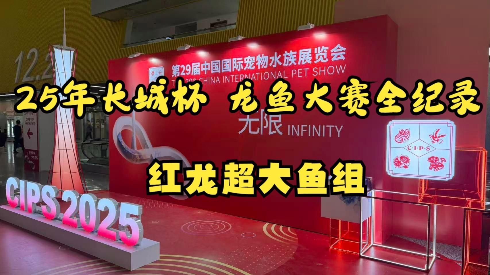 有哪些著名的紅龍魚賽事，2024年長城杯龍魚大賽全紀錄(嗶哩嗶哩嗶哩