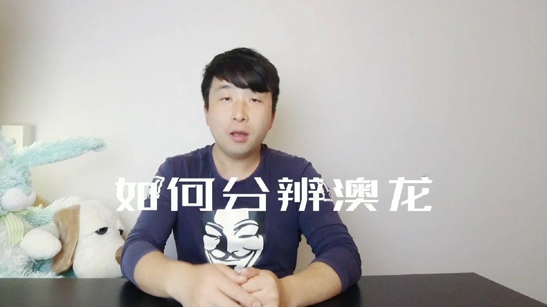 詳細解釋一下紅龍和澳龍的區別，如何區分紅龍和澳龍
