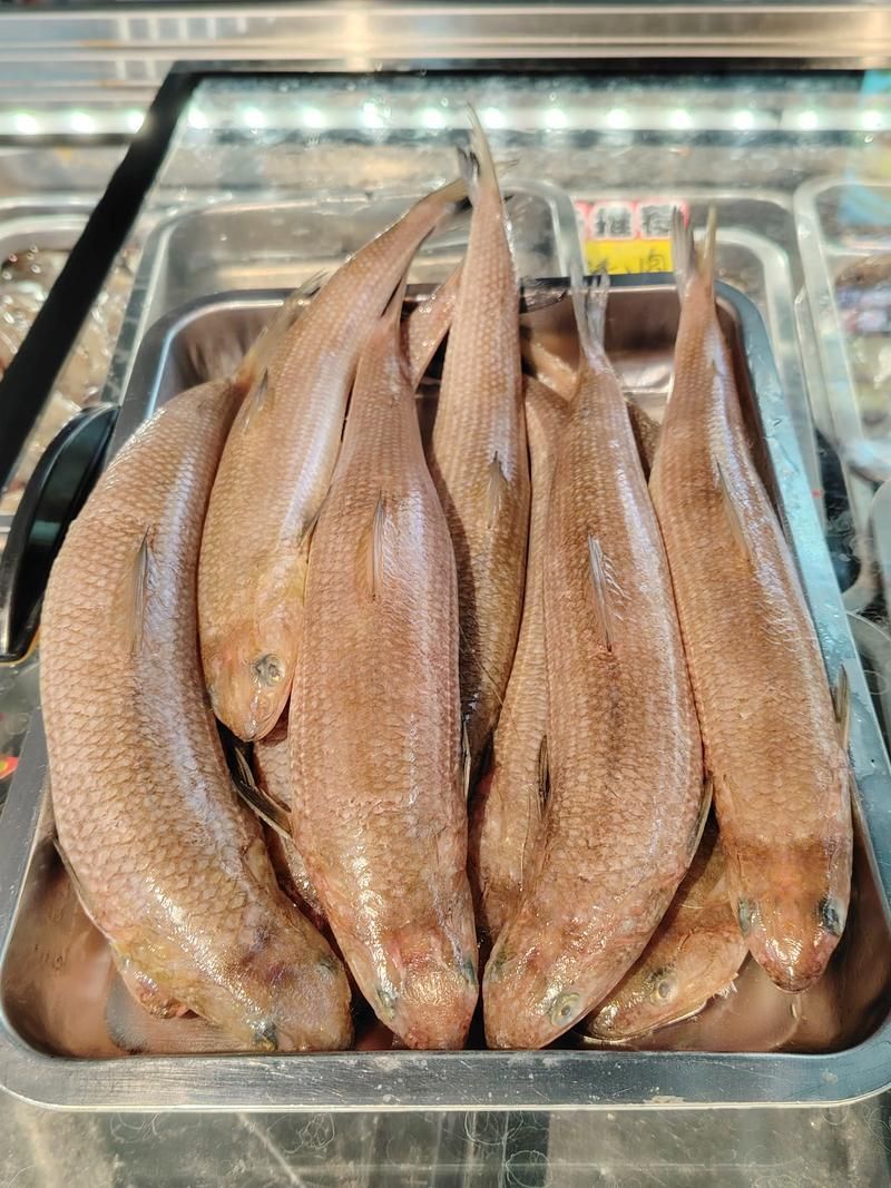 北海回龍魚有哪些功效，“北海回龍魚”的生物學特點