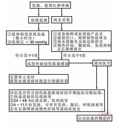 海水細菌感染怎么治療，海水細菌感染的治療通常需要綜合多種方法包括抗生素治療 海水細菌感染怎么治療，海水細菌感染的治療通常需要綜合多種方法包括抗生素治療 龍魚百科 第3張