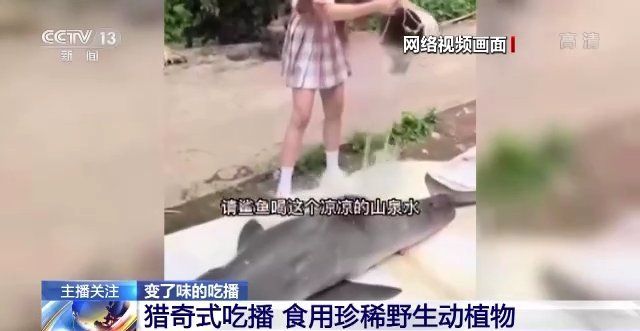 如何搜索到高清的龍魚被吃掉視頻，高清龍魚被吃掉視頻