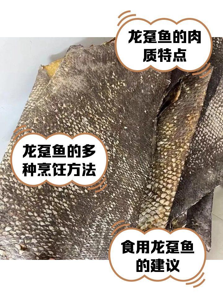 龍躉魚有哪些烹飪方法，龍躉魚哪種烹飪方法最受歡迎，在家輕松做美味龍躉魚