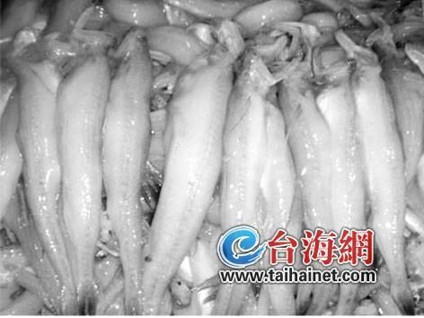 如何辨別無骨龍魚的真偽？，arxiv論文助手辨別無骨龍魚真偽辨別指南（1000字詳析）