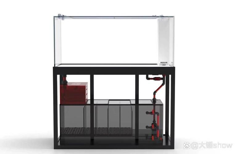 水鴨魚缸有哪些型號，常見的水鴨魚缸型號