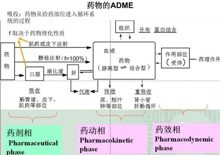 哪些藥物可以聯合使用，acei/arb+arb+arb+