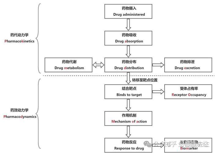 哪些藥物可以聯合使用，acei/arb+arb+arb+