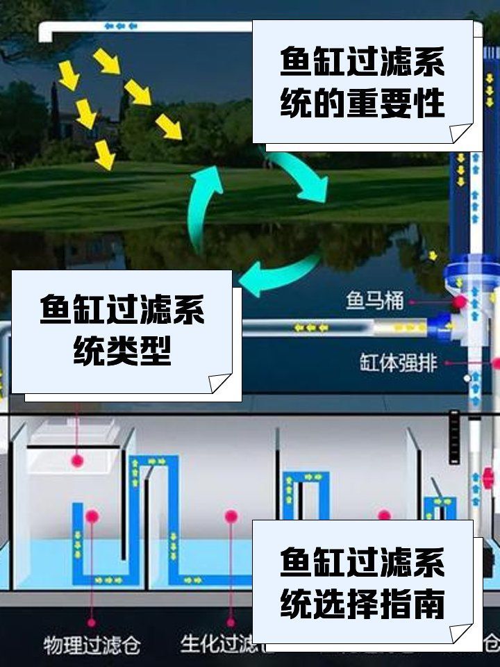 龍魚缸過濾系統有哪些類型