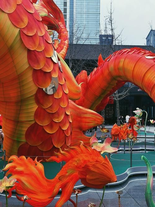 寬城滿族龍魚有哪些特點？，寬城滿族龍魚的特點