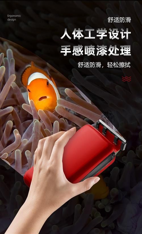如何保養(yǎng)和清潔亞克力魚缸，亞克力魚缸保養(yǎng)與亞克力魚缸保養(yǎng)與清潔核心知識要求