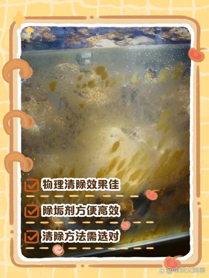 如何保養(yǎng)和清潔亞克力魚缸，亞克力魚缸保養(yǎng)與亞克力魚缸保養(yǎng)與清潔核心知識要求
