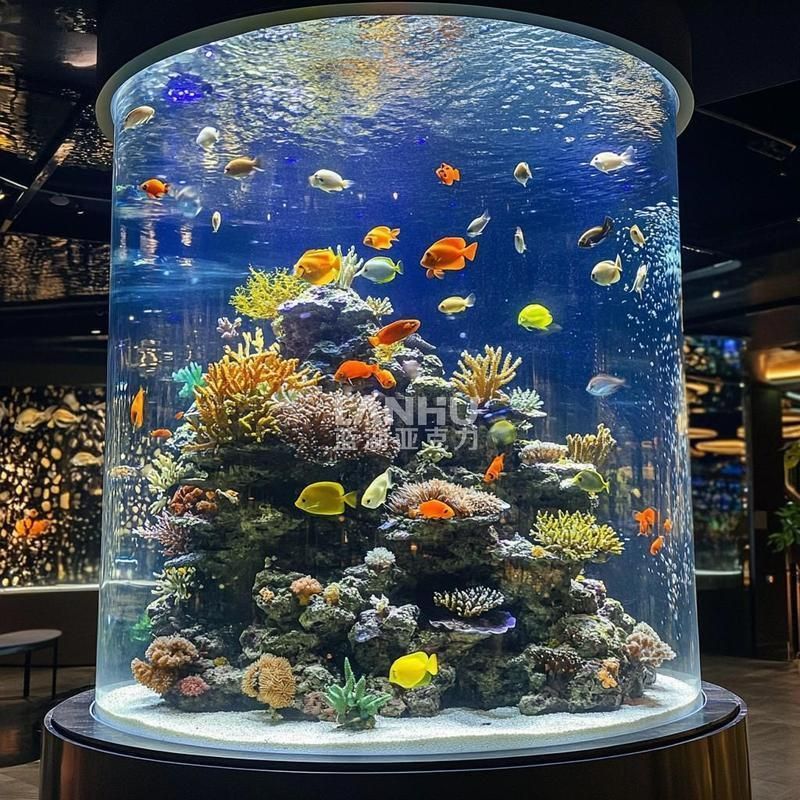 如何保養(yǎng)和清潔亞克力魚缸，亞克力魚缸保養(yǎng)與亞克力魚缸保養(yǎng)與清潔核心知識要求