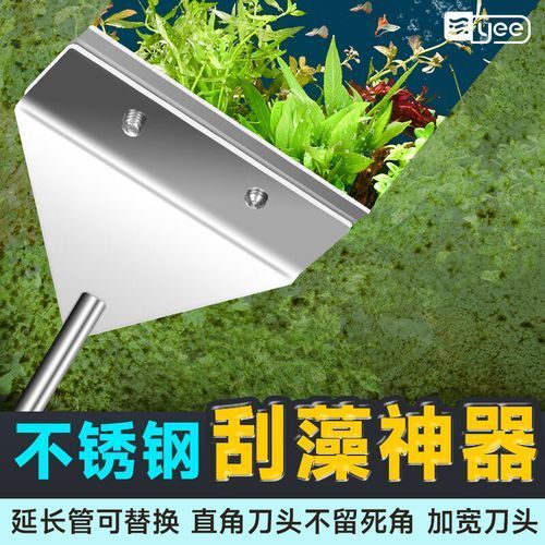 如何保養(yǎng)和清潔亞克力魚缸，亞克力魚缸保養(yǎng)與亞克力魚缸保養(yǎng)與清潔核心知識要求