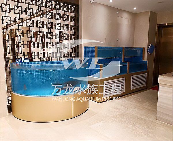 如何保養(yǎng)和清潔亞克力魚缸，亞克力魚缸保養(yǎng)與亞克力魚缸保養(yǎng)與清潔核心知識要求