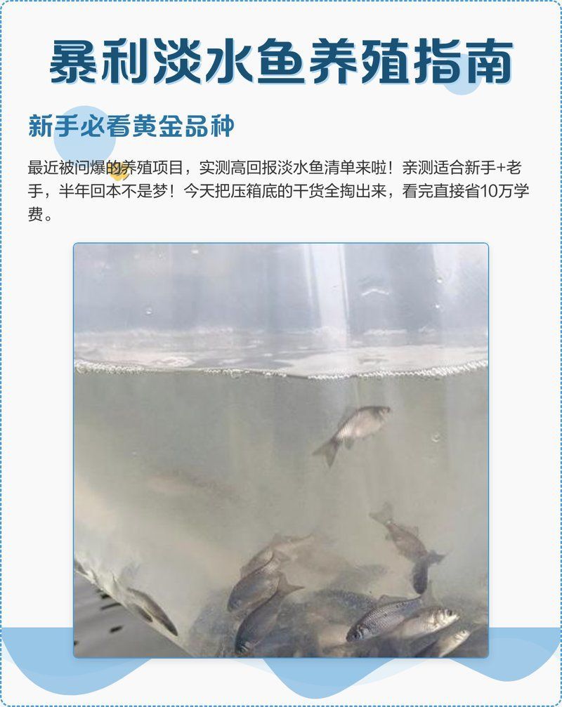 如何判斷十大暴利淡水魚的市場需求，十大暴利淡水魚市場需求判斷十大暴利淡水魚市場需求 如何判斷十大暴利淡水魚的市場需求，十大暴利淡水魚市場需求判斷十大暴利淡水魚市場需求 龍魚百科 第1張