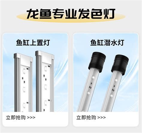 有哪些適合龍魚的照明燈具？