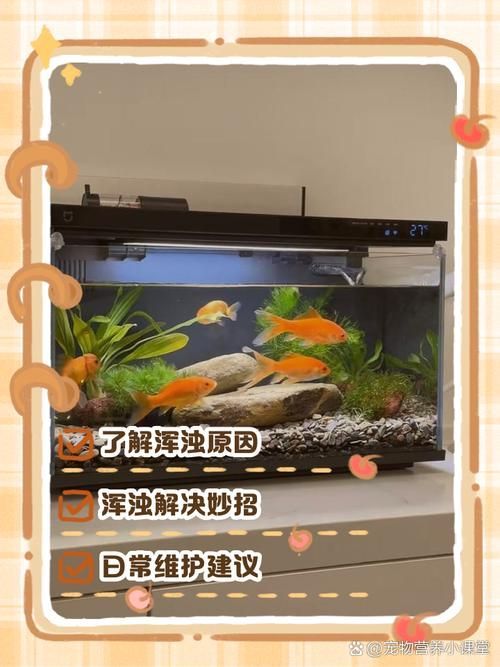 觀賞魚缸水渾濁原因和解決方案，觀賞魚缸水渾濁怎么辦