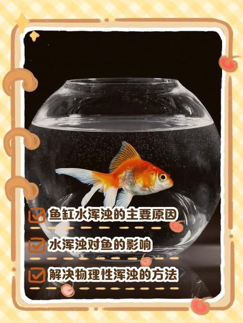 觀賞魚缸水渾濁原因和解決方案，觀賞魚缸水渾濁怎么辦
