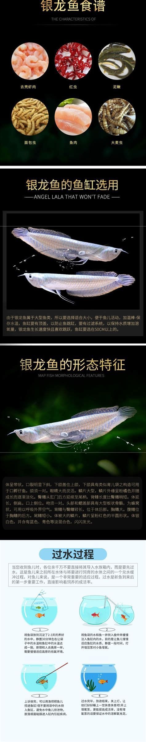 如何預防銀龍魚身上長白膜？，1000字詳解銀龍魚（白翅龍）的防病寶典：如何預防“白膜”侵襲