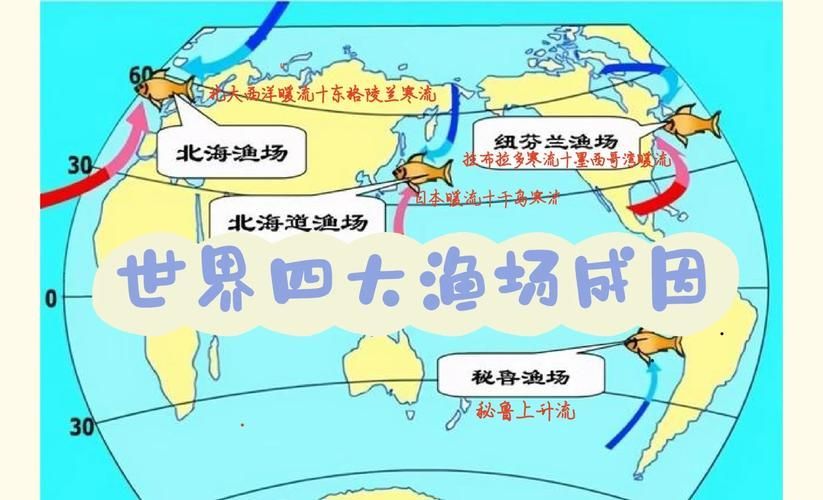 如何聯系祥龍魚場各市分站？，如何聯系祥龍魚場各市分站