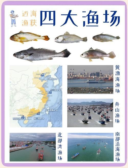 如何聯系祥龍魚場各市分站？，如何聯系祥龍魚場各市分站