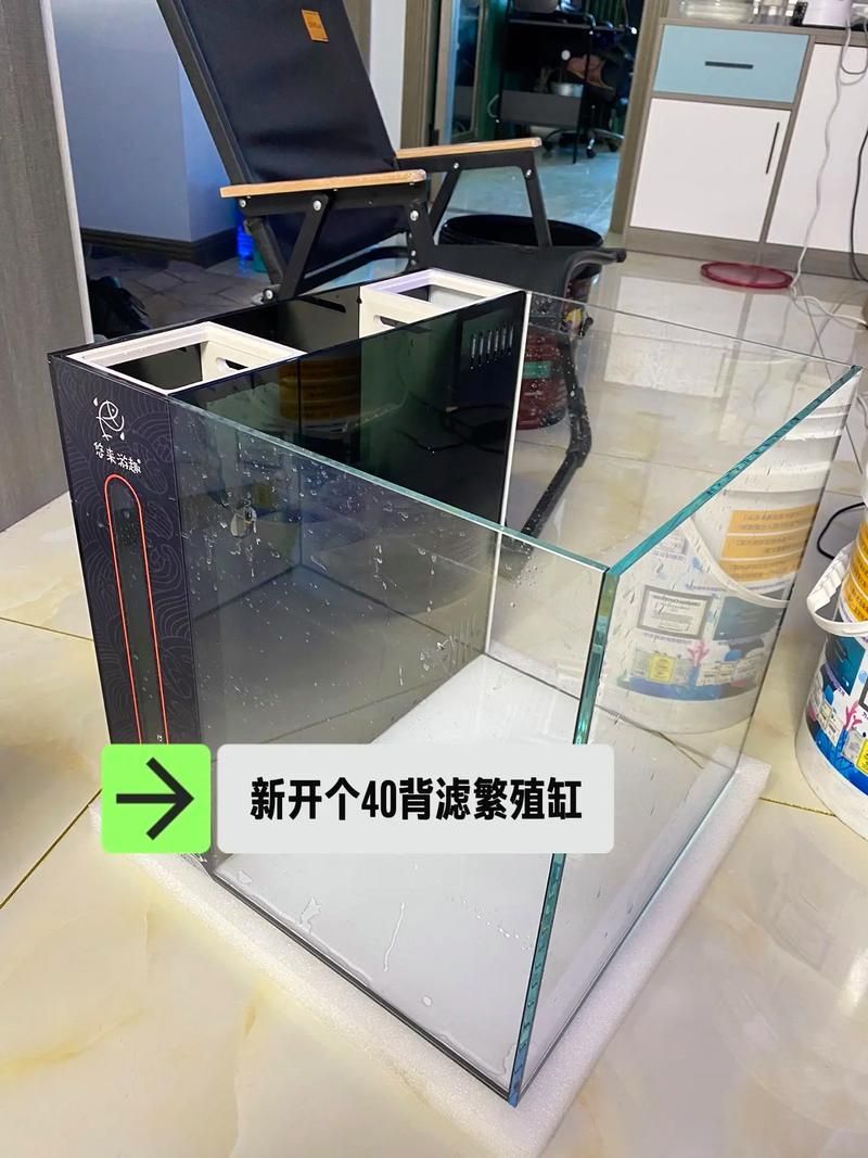 過背金龍最建議買的三樣東西，權威水族飼養指南與過背金龍飼養指南與過背金龍飼養指南