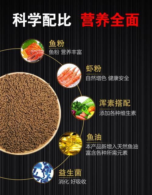 哪個配方最適合紅龍魚生長？，紅龍魚生長的配方調用工具百度愛采購工具百度愛采購