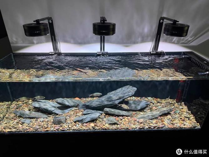 老魚匠魚缸有哪些型號，老漁匠魚缸哪個型號最受歡迎老漁匠魚缸哪個型號最受歡迎